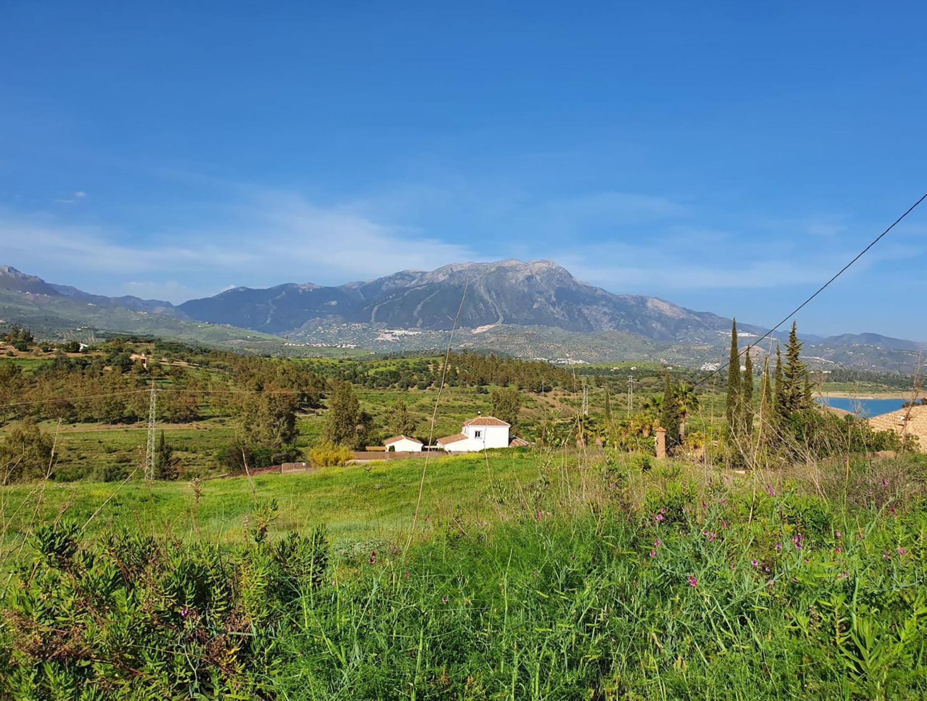 Вилла La Rustica En Vinuela, Piscina Privada Экстерьер фото